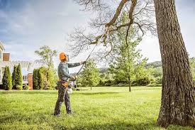 Best Tree Removal  in Kibler, AR